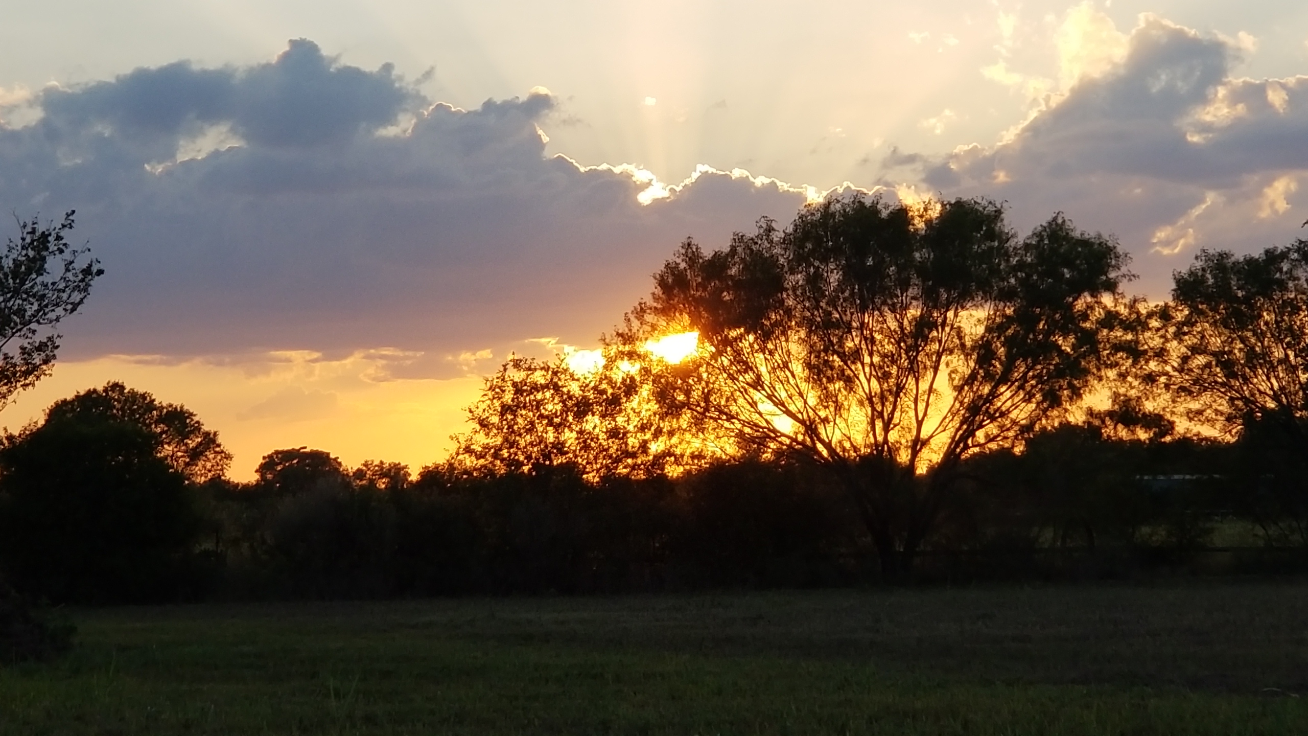 Sunset at B7 Farms